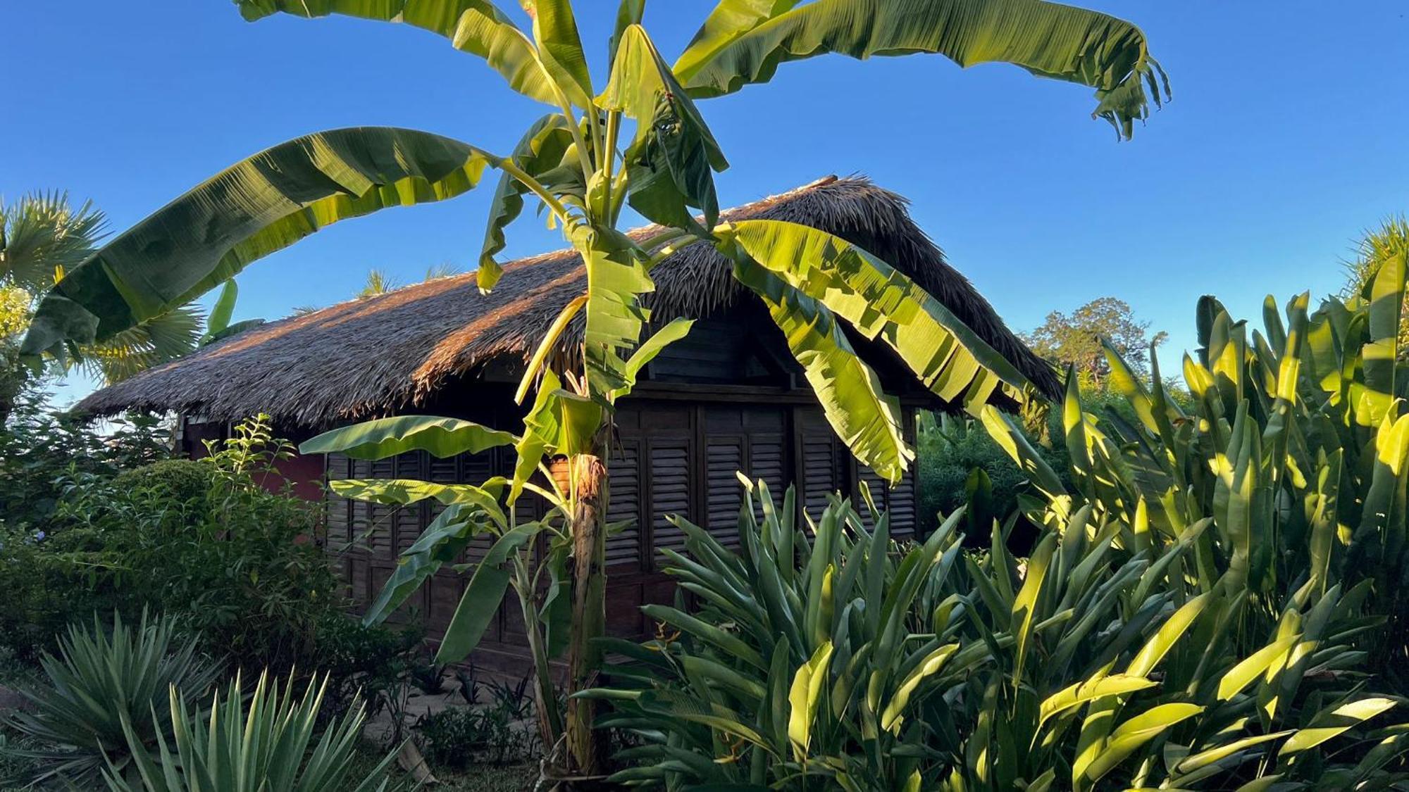 Manga Soa Lodge Fascene - Befefika Exteriér fotografie